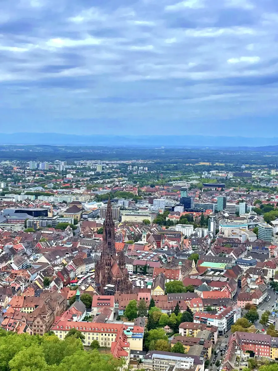 Detalle de Friburgo de Brisgovia mostrando la catedral gótica en el centro de la ciudad histórica con la Selva Negra al fondo