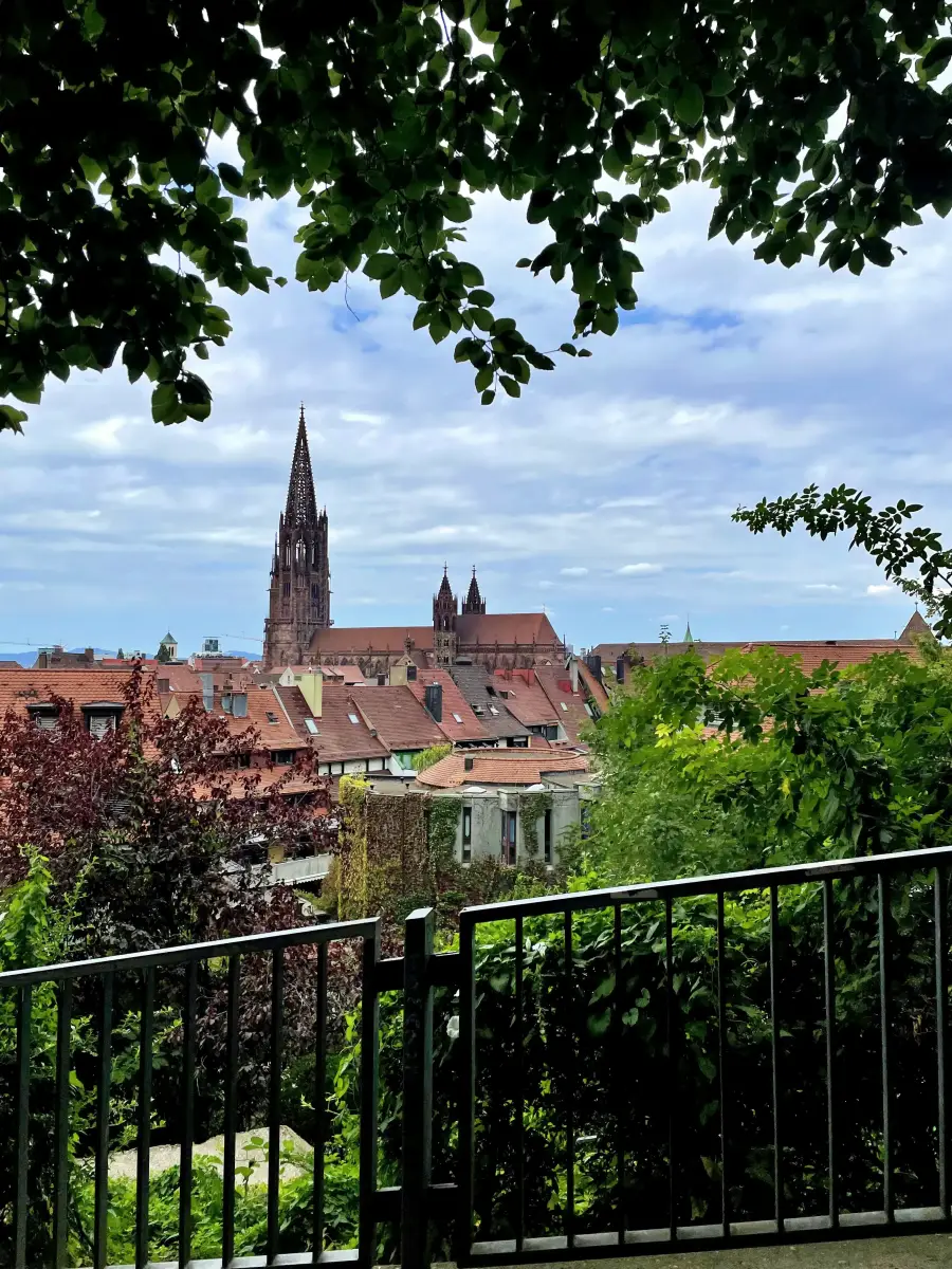 Catedral gótica de Friburgo vista desde el monte Schlossberg, con su característica torre de 116 metros dominando el skyline