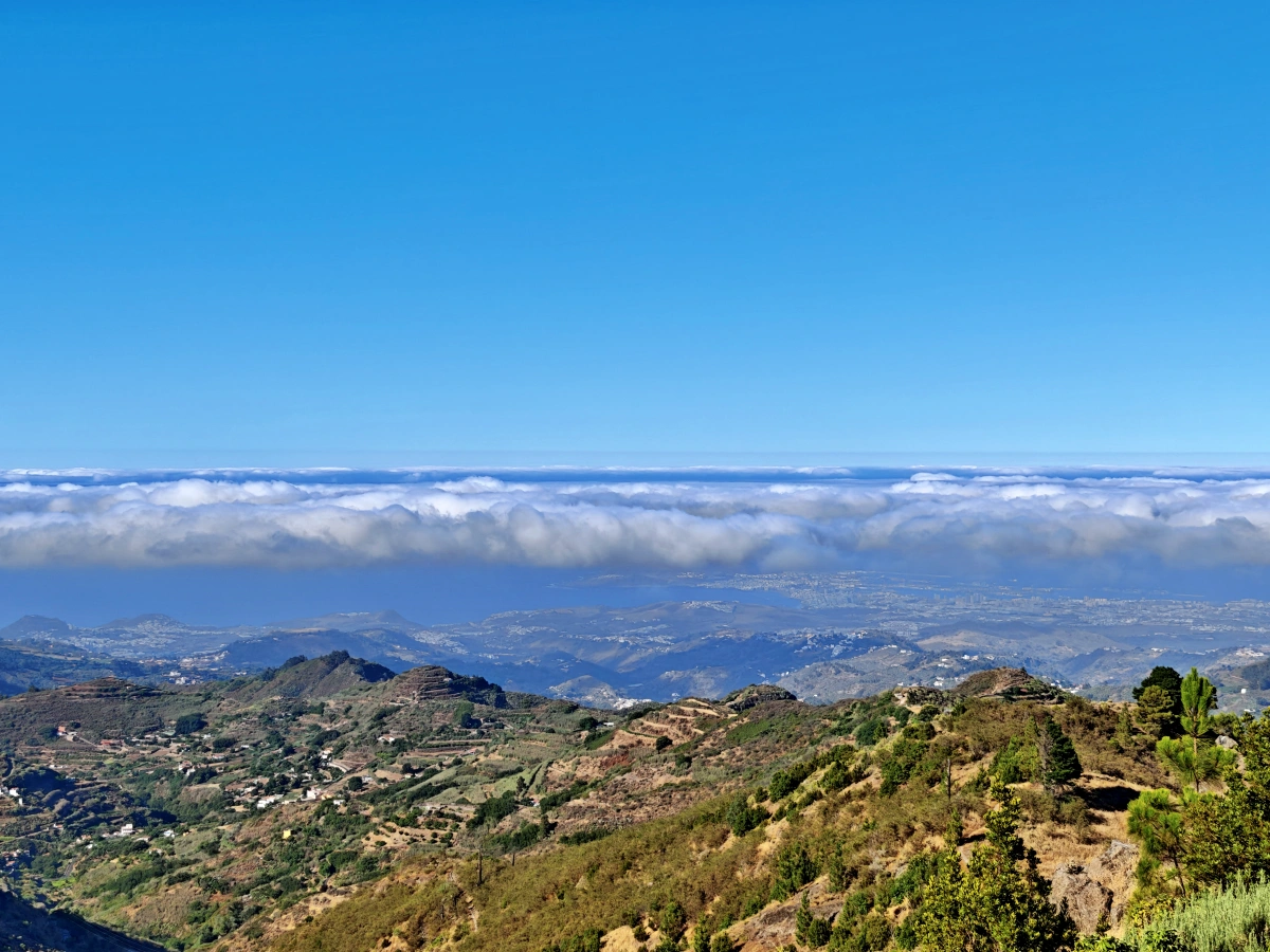 Vista panorámica de Las Palmas de Gran Canaria desde la montaña, con el fenómeno de la panza de burro cubriendo la ciudad bajo un mar de nubes bajas y el cielo azul despejado arriba.