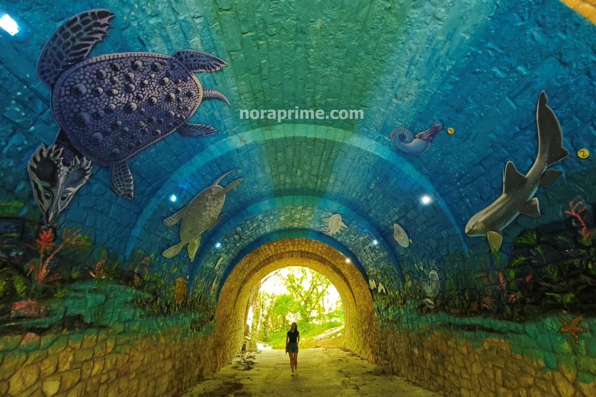 Túnel "Halagút" en Veszprém decorado con murales marinos de peces, tortugas y elementos acuáticos iluminados