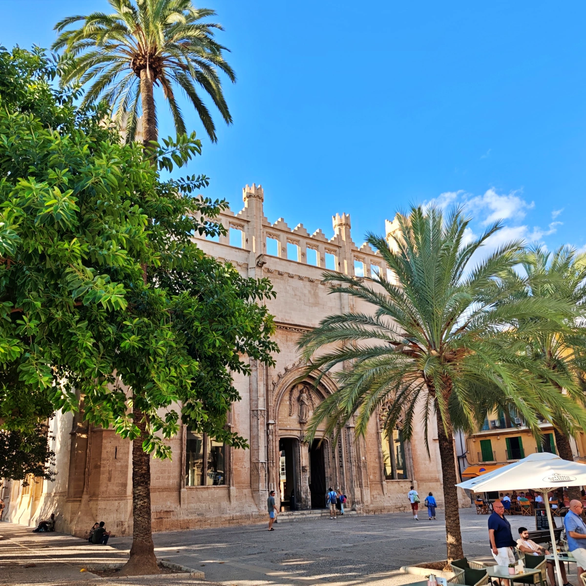 Fachada principal de la Lonja de Palma de Mallorca rodeada de palmeras y vida urbana