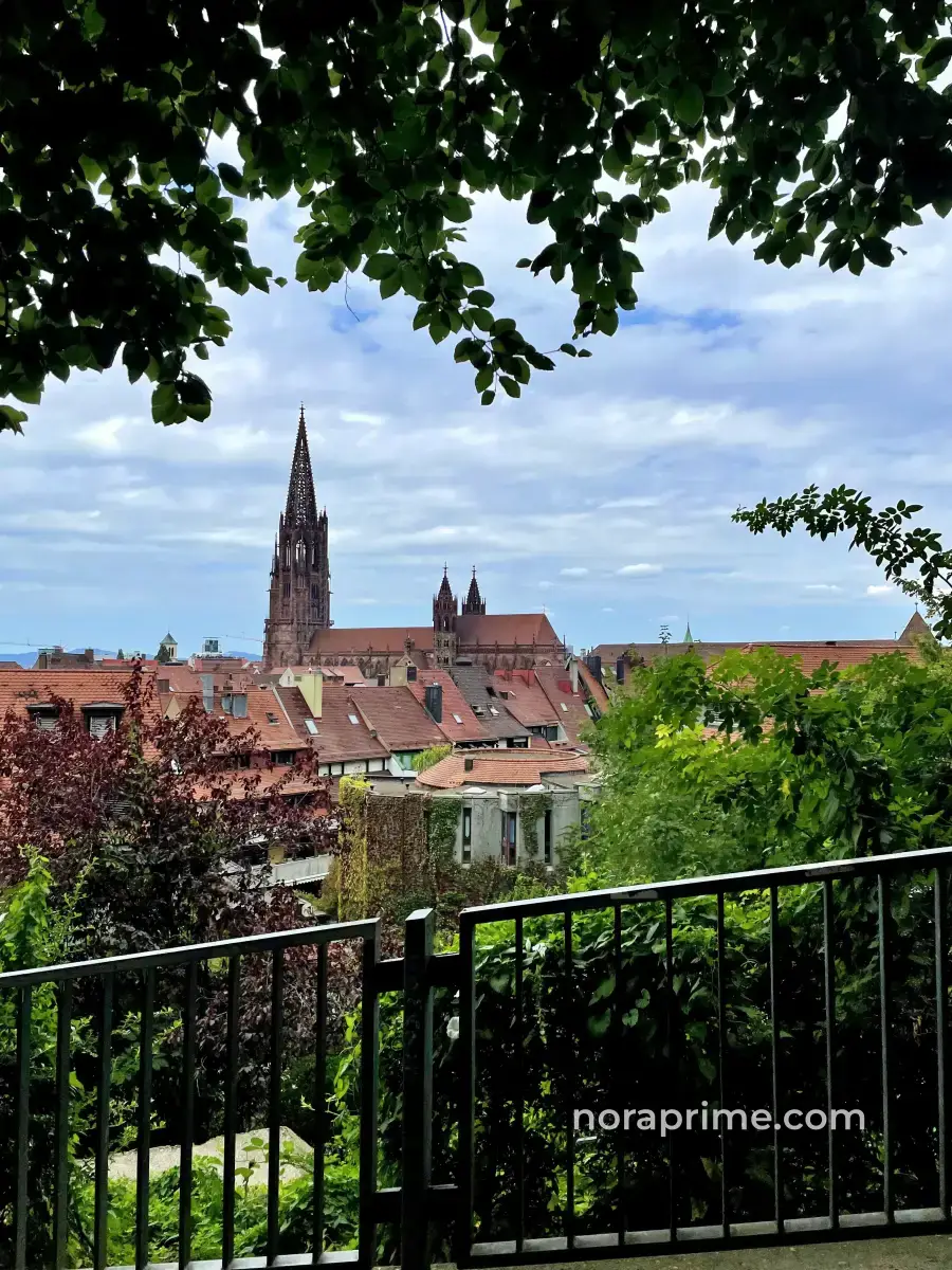 Catedral gótica de Friburgo vista desde el monte Schlossberg, con su característica torre de 116 metros dominando el skyline