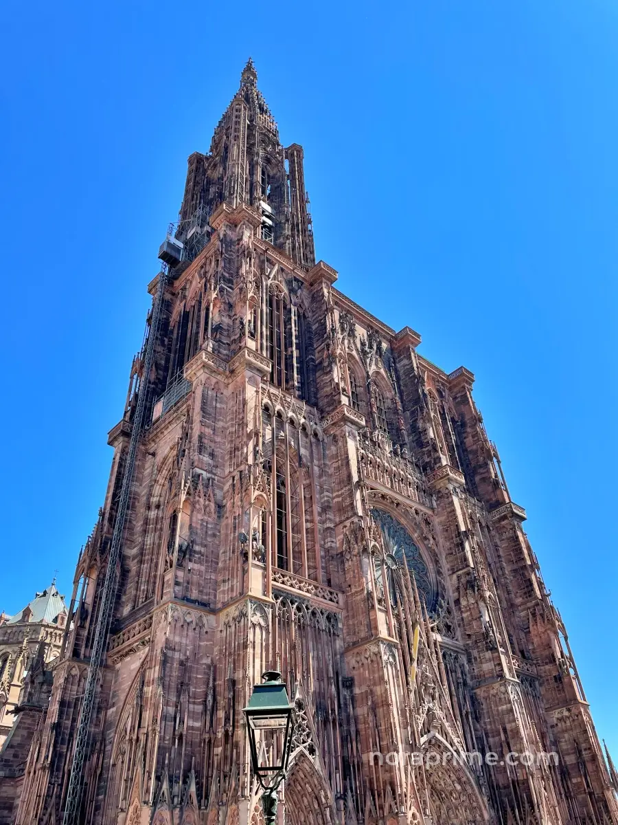 Fachada principal y torre de la Catedral de Estrasburgo en piedra rosa bajo cielo azul