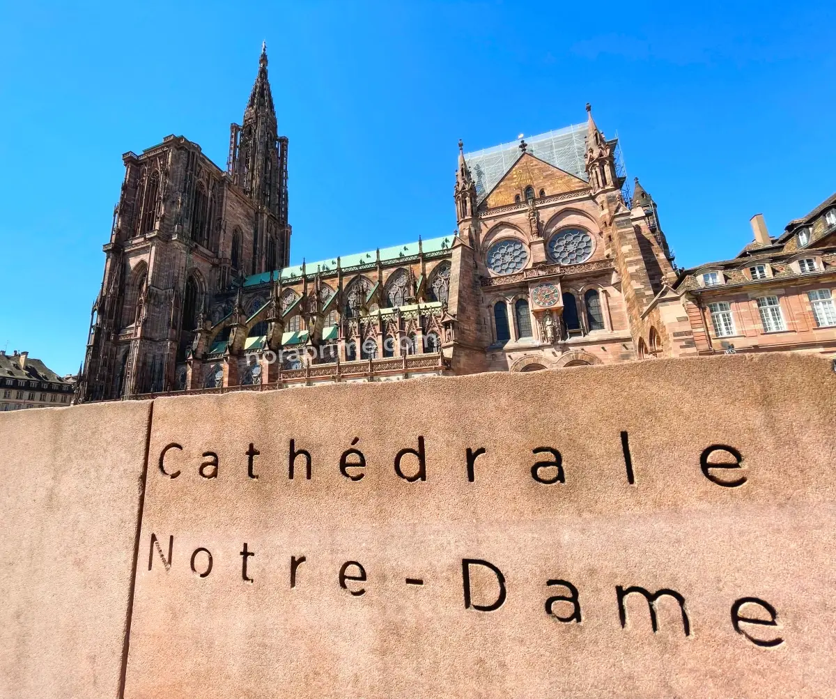 Catedral de Notre-Dame de Estrasburgo vista lateral con letrero en primer plano y cielo azul despejado