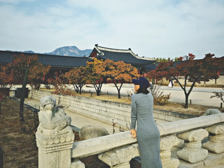 Persona mirando el Palacio Gyeongbokgung en Seúl, Corea del Sur, desde un puente de piedra con balaustrada y figura tallada, con árboles de otoño y montañas al fondo.