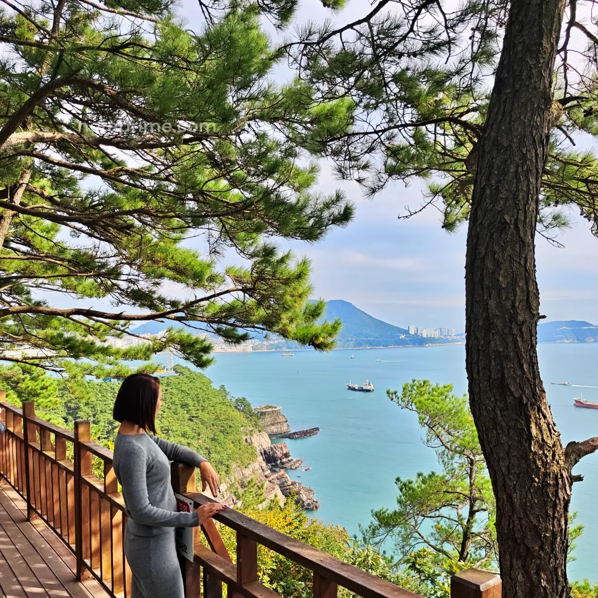 Viajera caminando por una pasarela de madera entre pinos con vistas al mar en el parque Amnam de Busan Corea del Sur