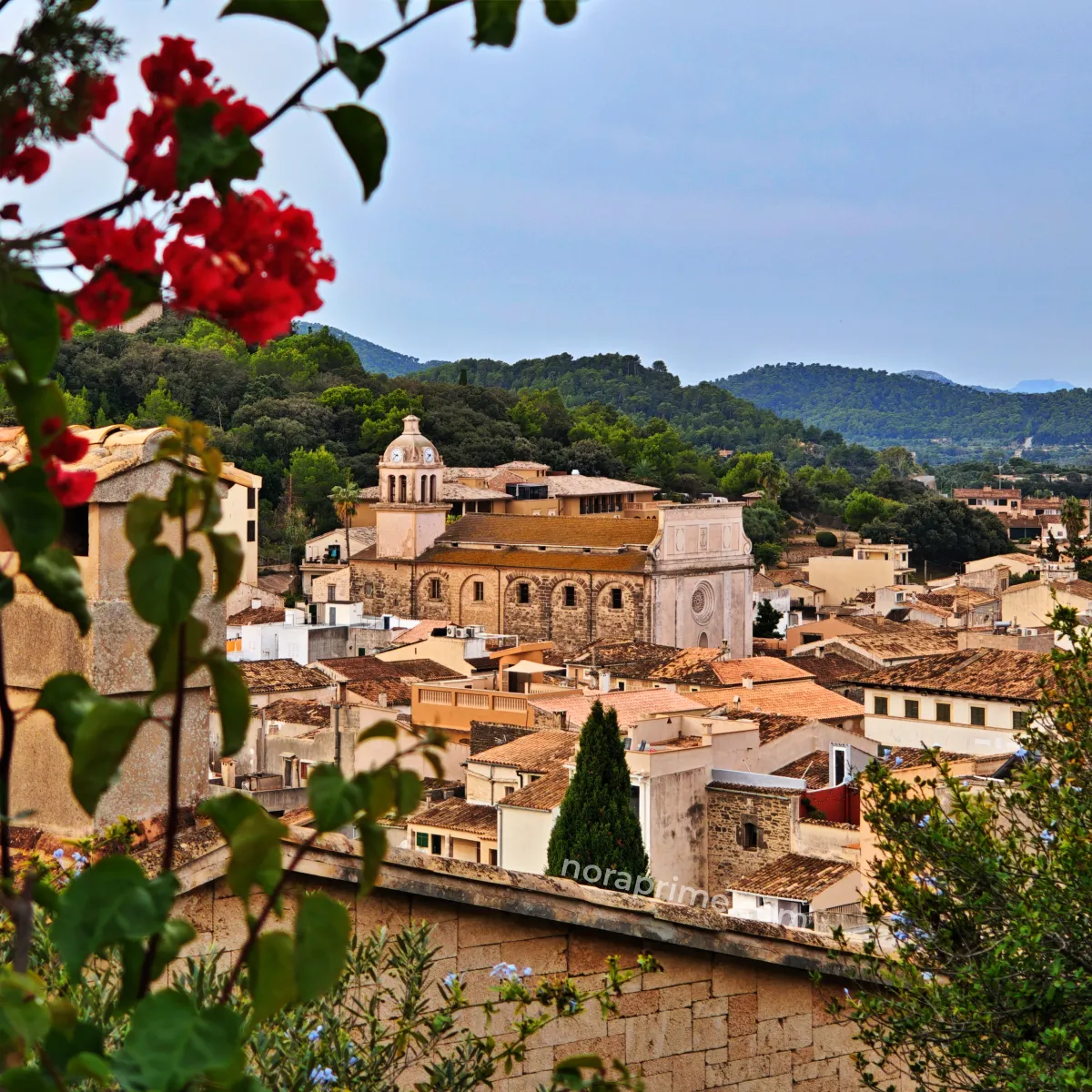 Panorámica del casco antiguo de Capdepera en Mallorca, con tejados de teja, casas tradicionales de piedra y la iglesia parroquial de Sant Bartomeu en el centro, enmarcada por flores rojas y colinas arboladas de fondo.